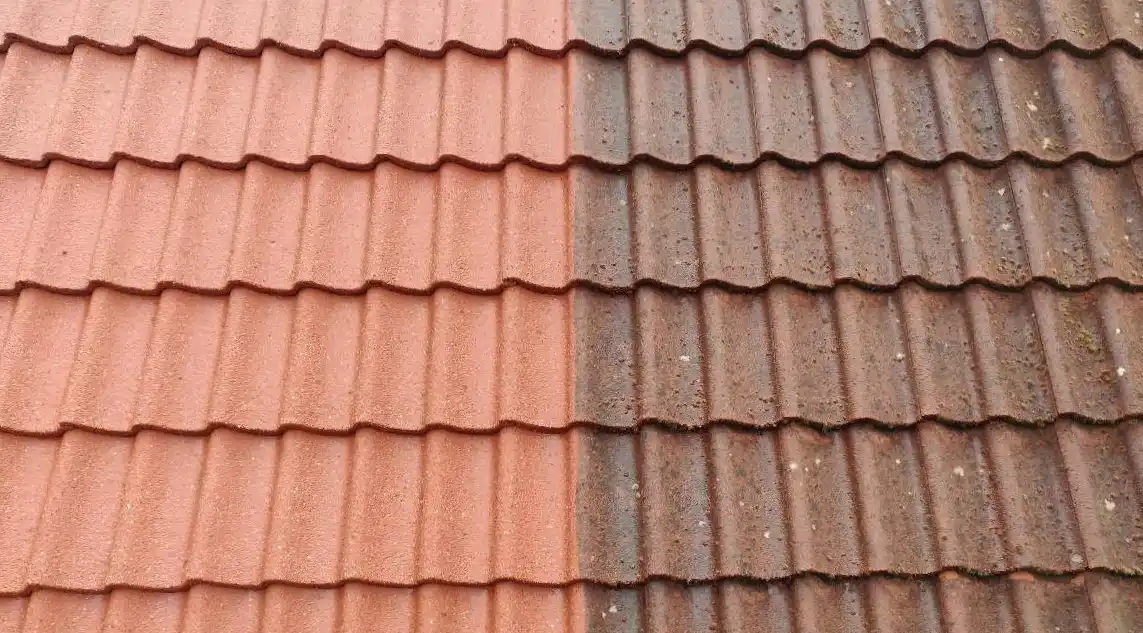 Dakpan reiniging Dakpan reiniging