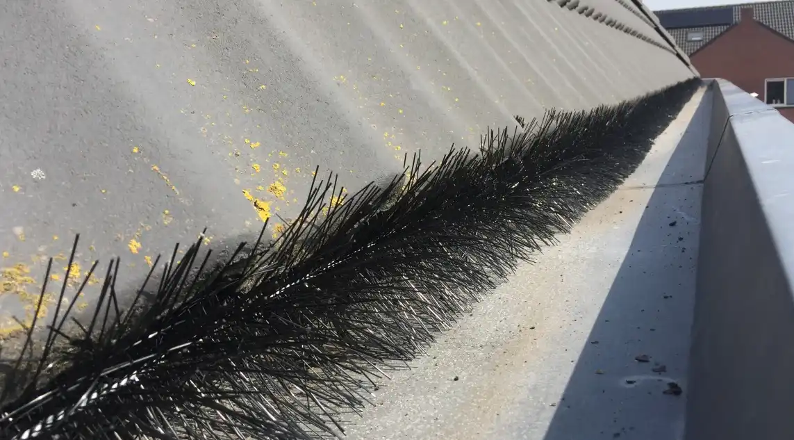 Vogelwering dakpannen