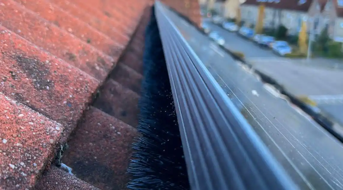 Vogelwering oplossingen